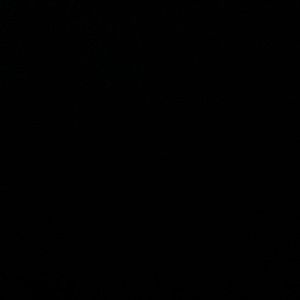 Meet your Posher, Kennady